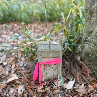 駐車場に戻ろうとしたところピンテが目につき、三角点？を発見(境界って書いてありそうですが)