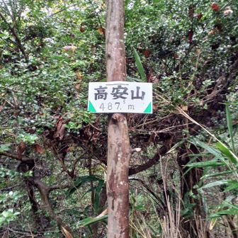 高安山山頂、狭く何もないピーク…すれ違った団体の方々が目指しておられたが…山頂満員になりそう。