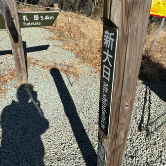 到着！綺麗に整備されています。