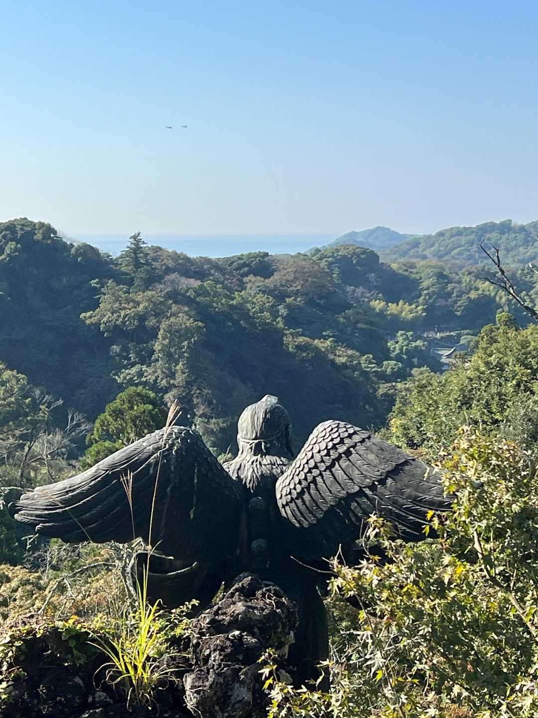どこ見とる❓