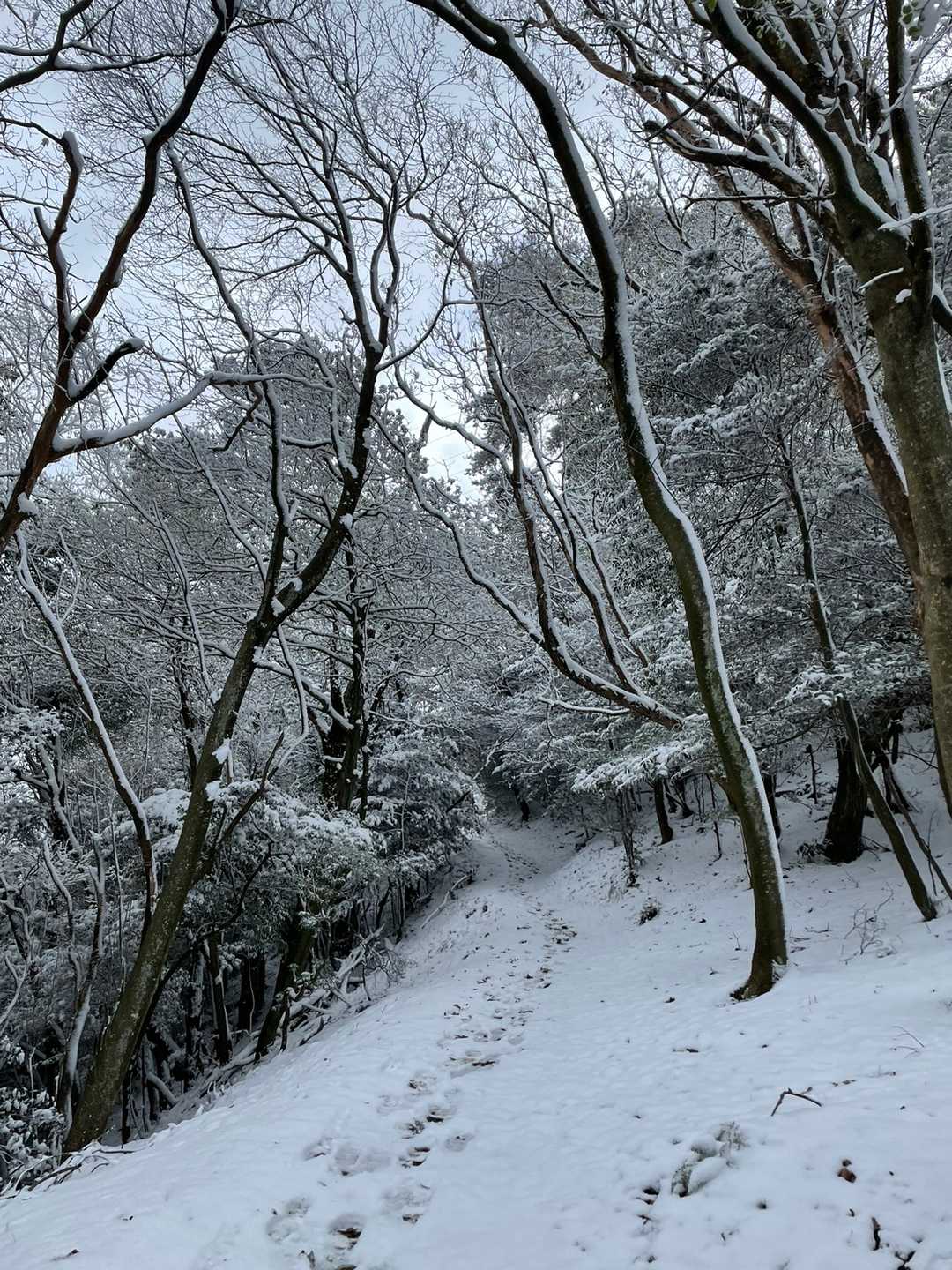 雪が積もってる山道を急ぎます、、、重い、、、