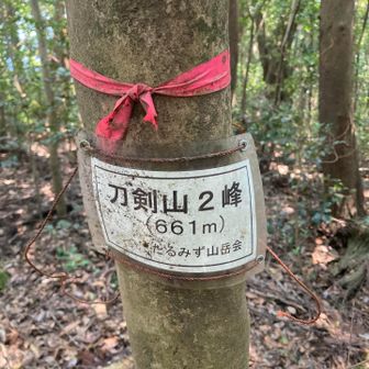 近くの木に巻き直し