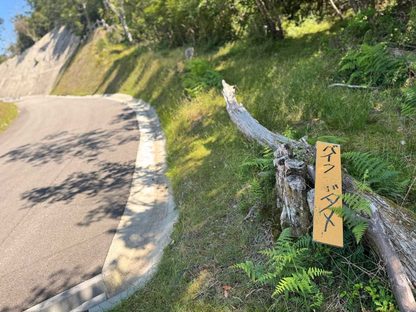 バイクダメ🙅‍♀️