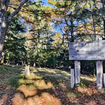 燕頭山
標高上げた感が出てきた