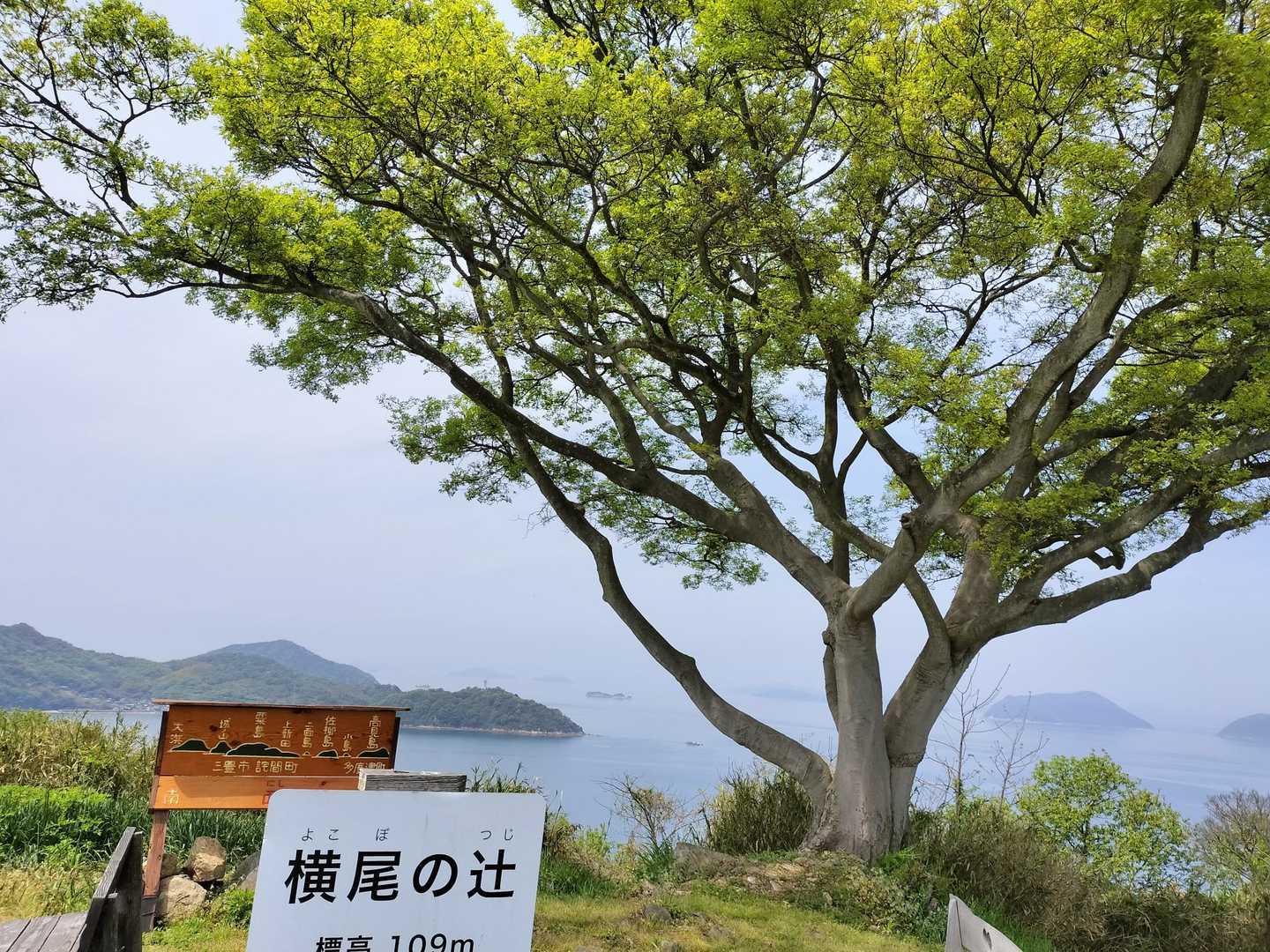 横尾の辻-天空の花畑 周回コースの写真