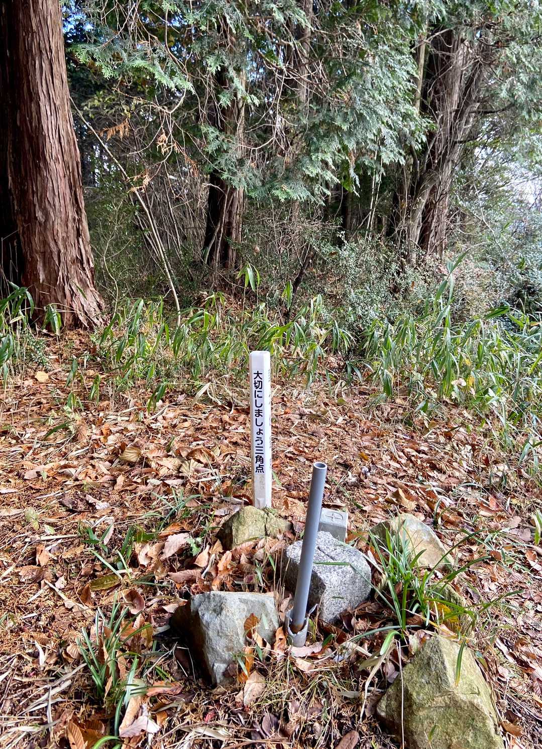 少し進むと二等三角点　点名「大和山」

山人さんが木に付けた山頂標識は見当たりませんでした⤵️