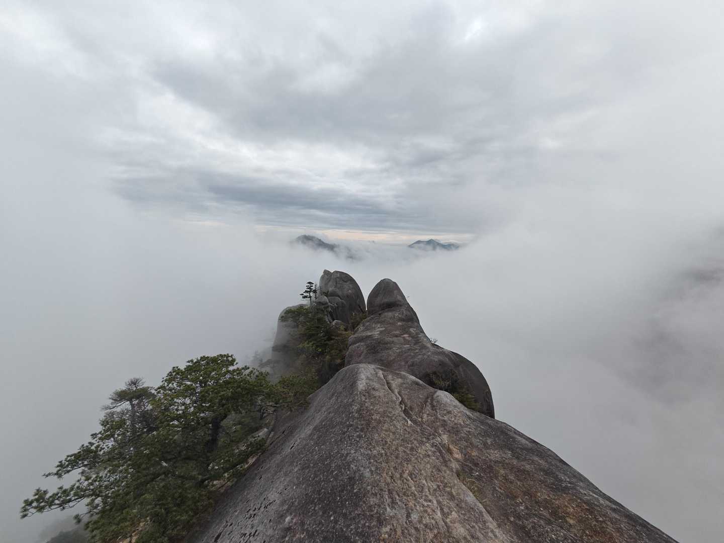 坊主尾根コース | ハシゴ・鎖場多数。九州最後の秘境と呼ばれる大崩山への写真