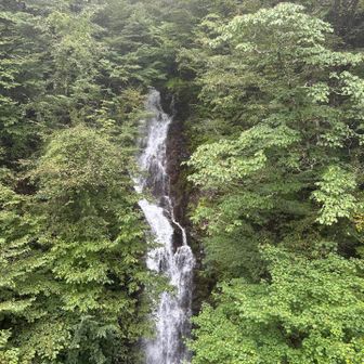 三頭の滝が綺麗に見えました！