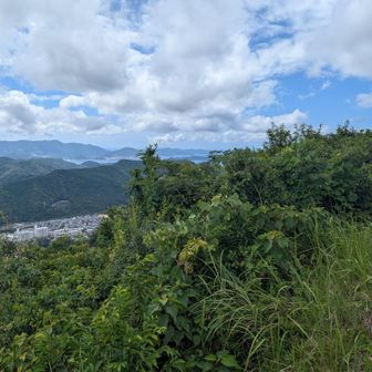 伊王島が小さく見えます