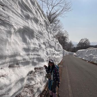雪壁はこんな感じ！