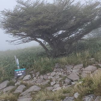 下山口を確認して、早々に下山しました。