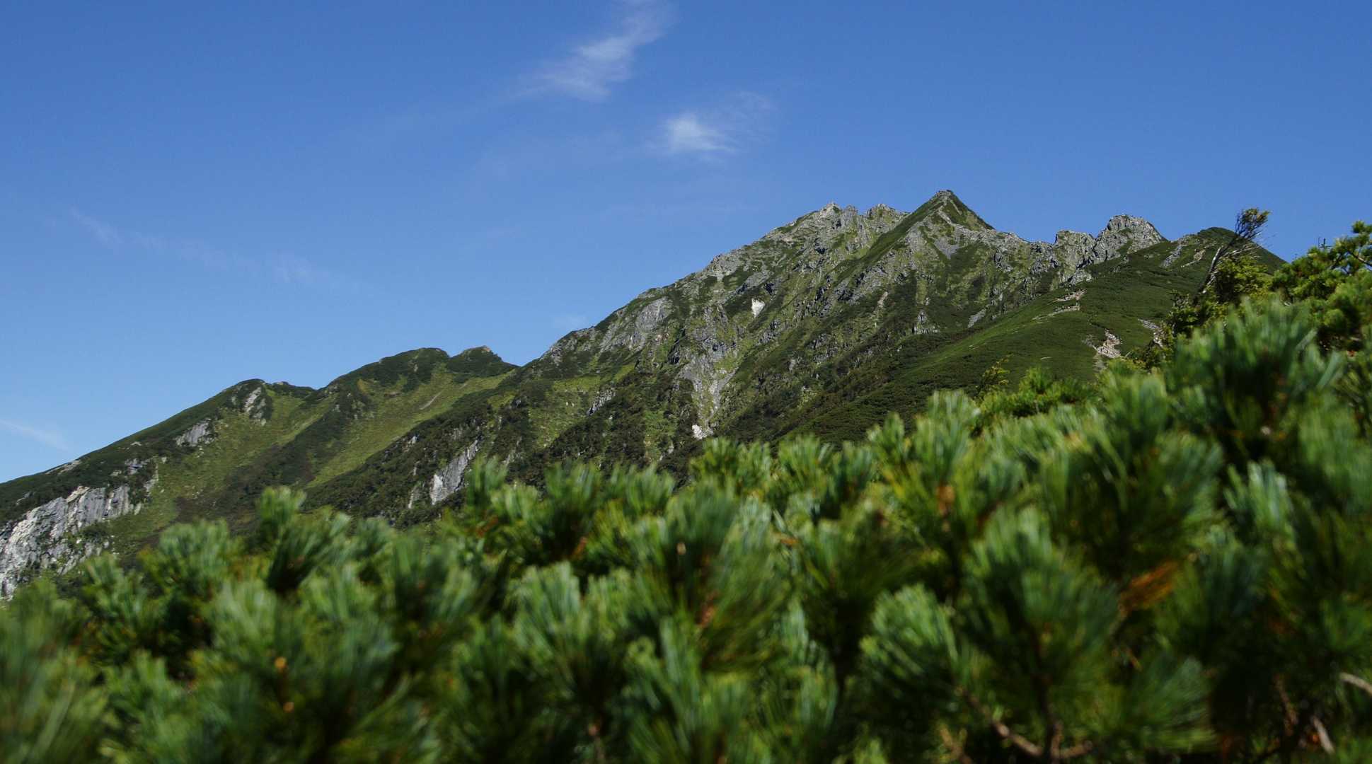 西穂高の山容が…。
結構キツイ崖だと思ってました。