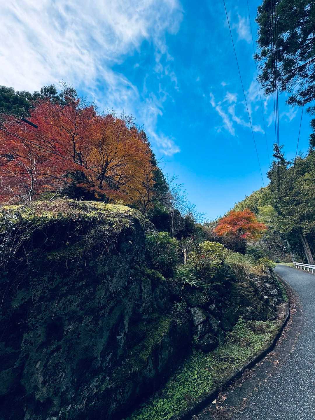 「巨岩」と共に生きる
素敵です…