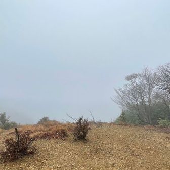 雲取山本峯より展望がいいと聞いてたが、こんな感じです