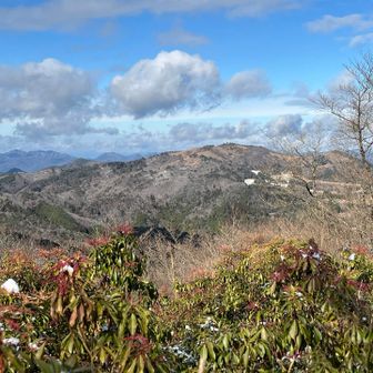 横尾山山頂からの眺め。こちらは10センチ以上の積雪がありますが、隣の山肌には全く積雪がありません🤔