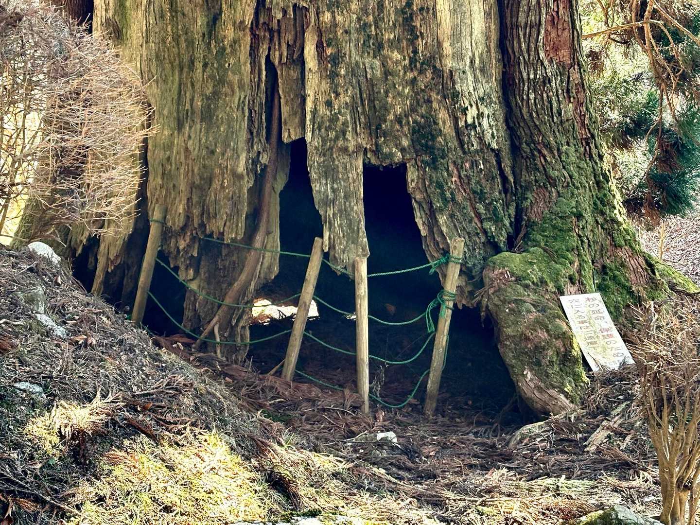 追分バス停-新中橋バス停-笹子雁ヶ腹摺山-笹子峠-矢立の杉 往復コースの写真