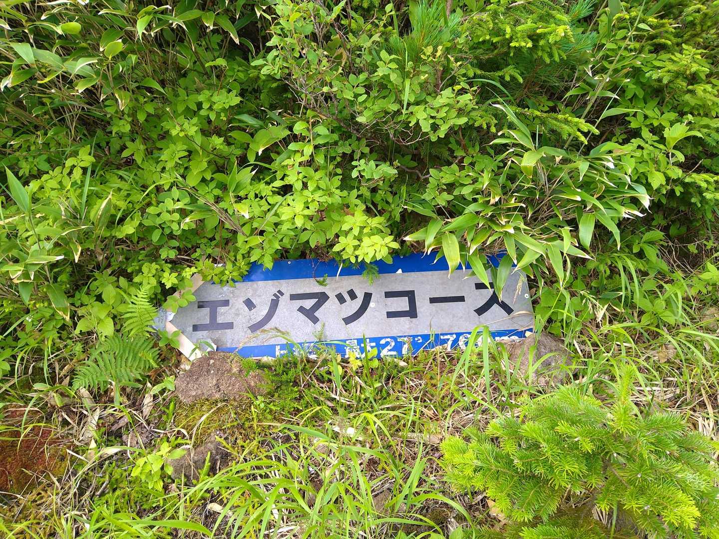 ｴｿﾞﾏﾂｺｰｽ⛷️