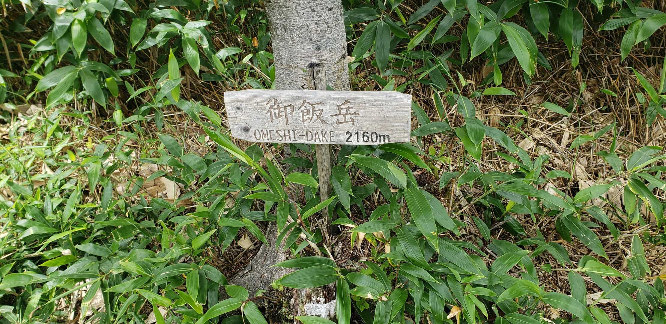 御飯岳　山頂🚩　特に何も無いです