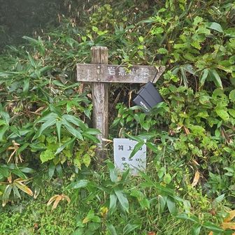 再びびしょ濡れの予感