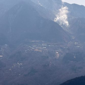 しっぽりしたいものです