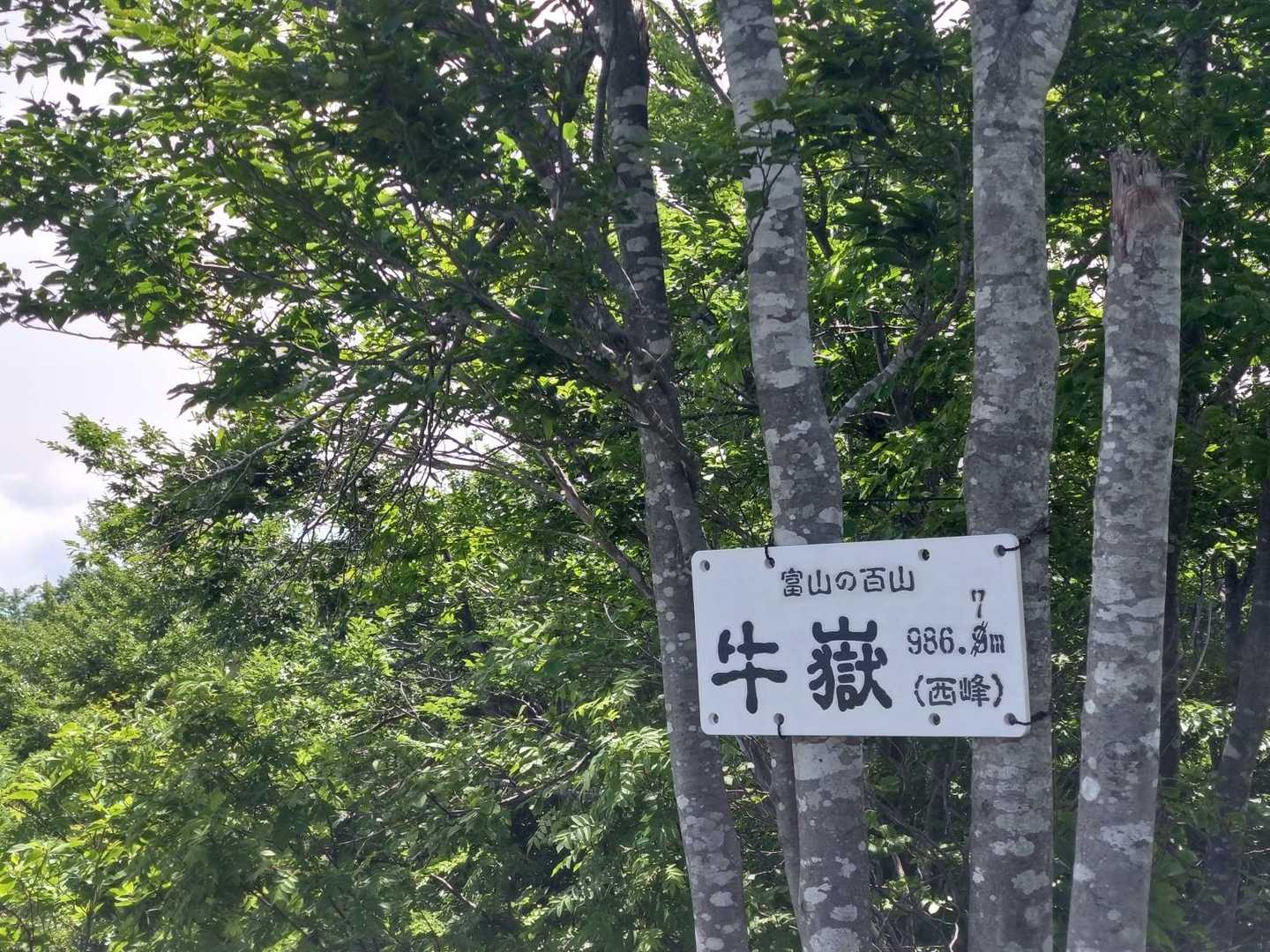西峰