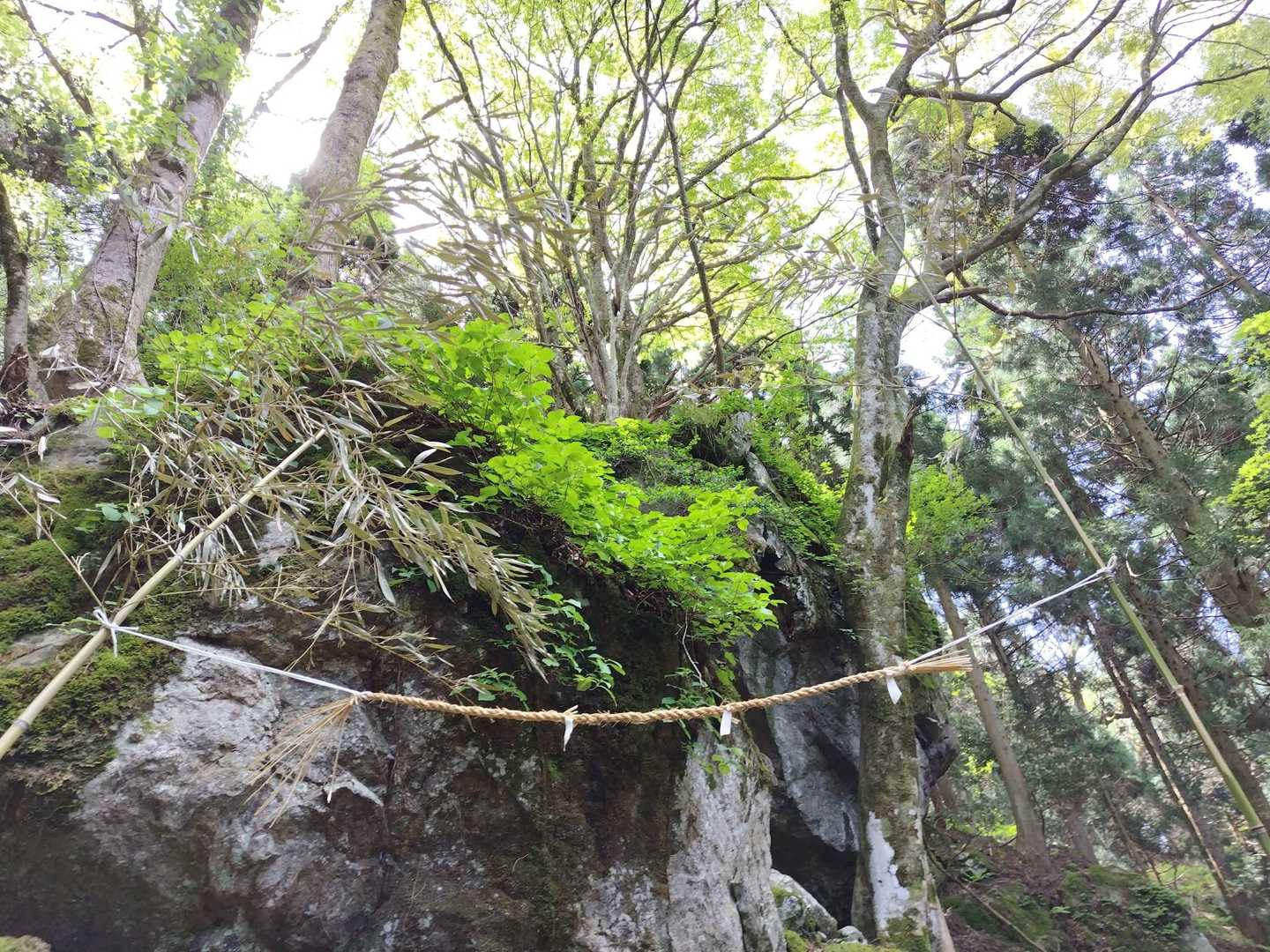弥仙山登山口-弥仙山 周回コースの写真