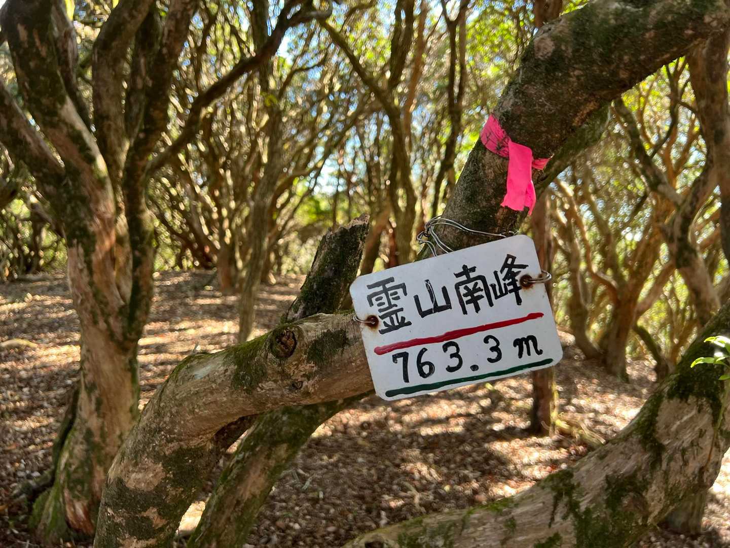霊山寺登山口-霊山 周回コースの写真