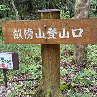 登山口！