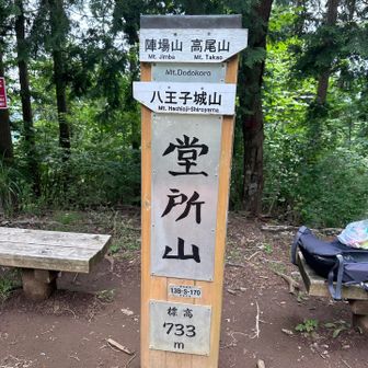 明王峠手前の小さなピーク