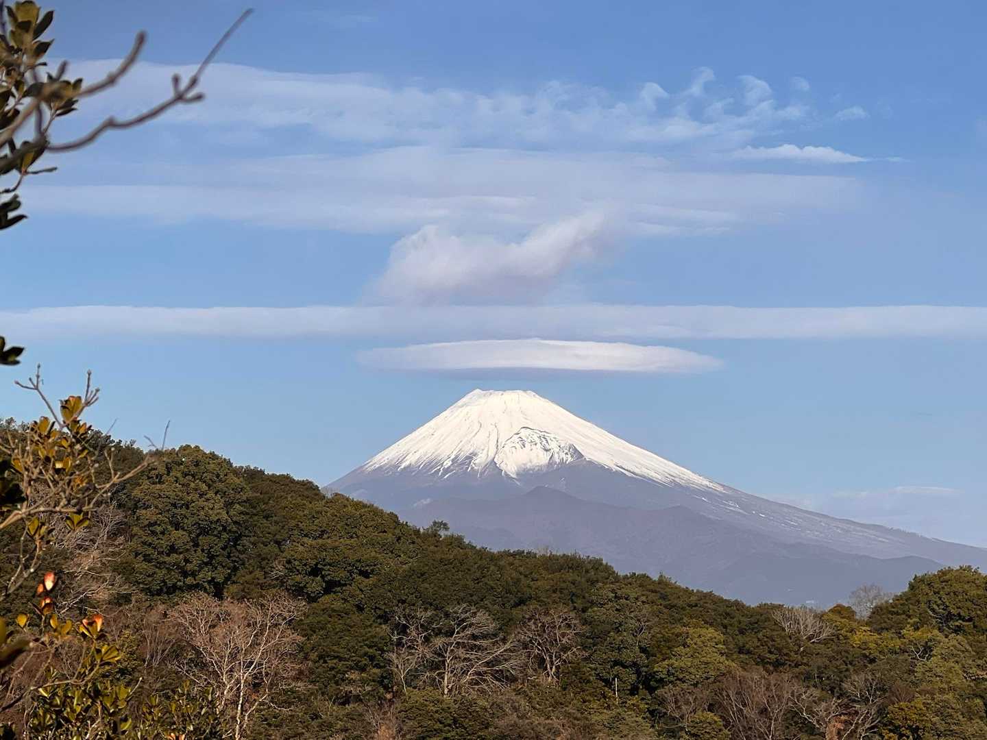 多比バス停-多比口峠-大平山-多比峠-鷲頭山-志下峠-馬込 縦走コースの写真