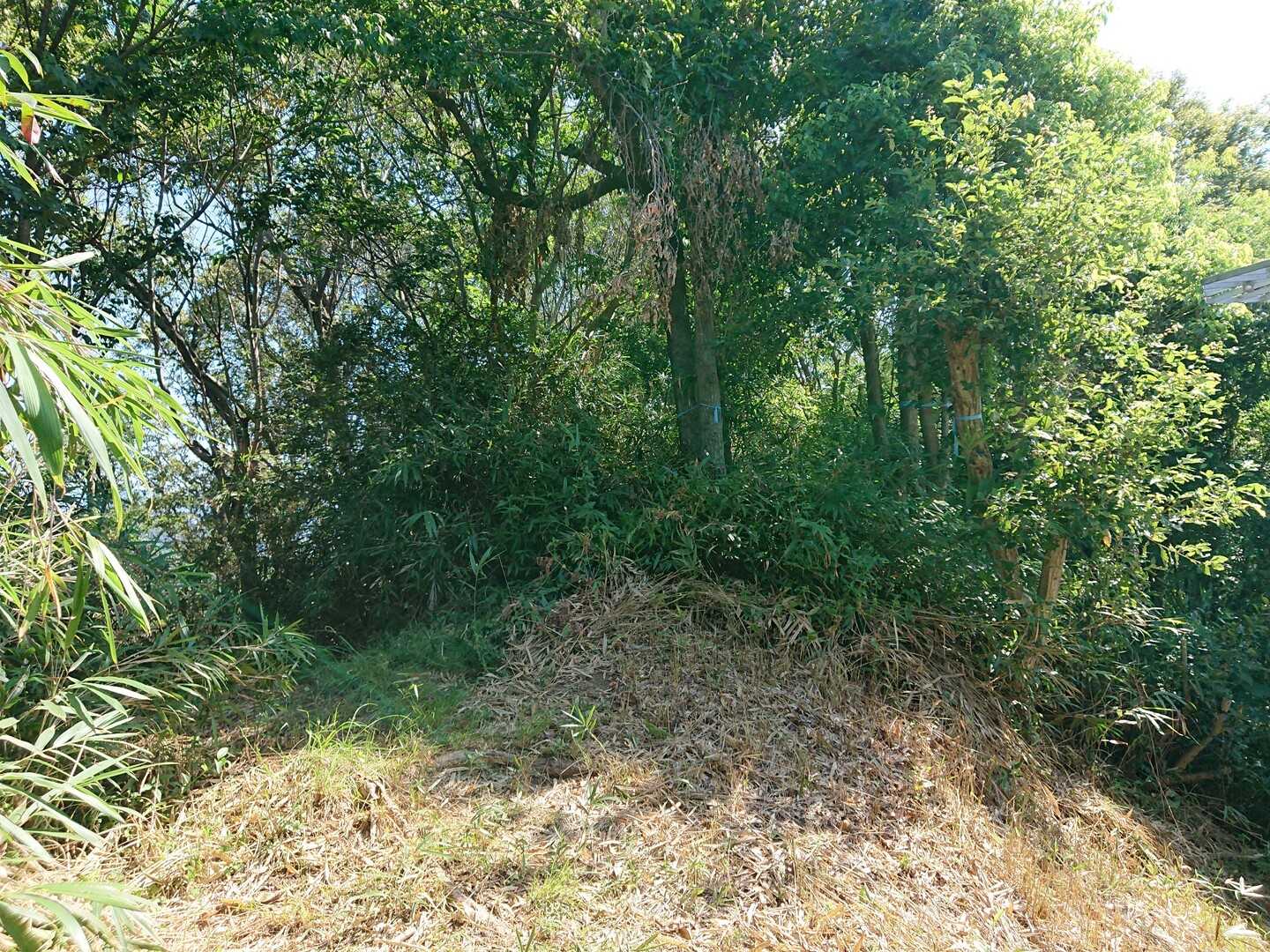 高尾山（兵庫県神戸市須磨区）の写真