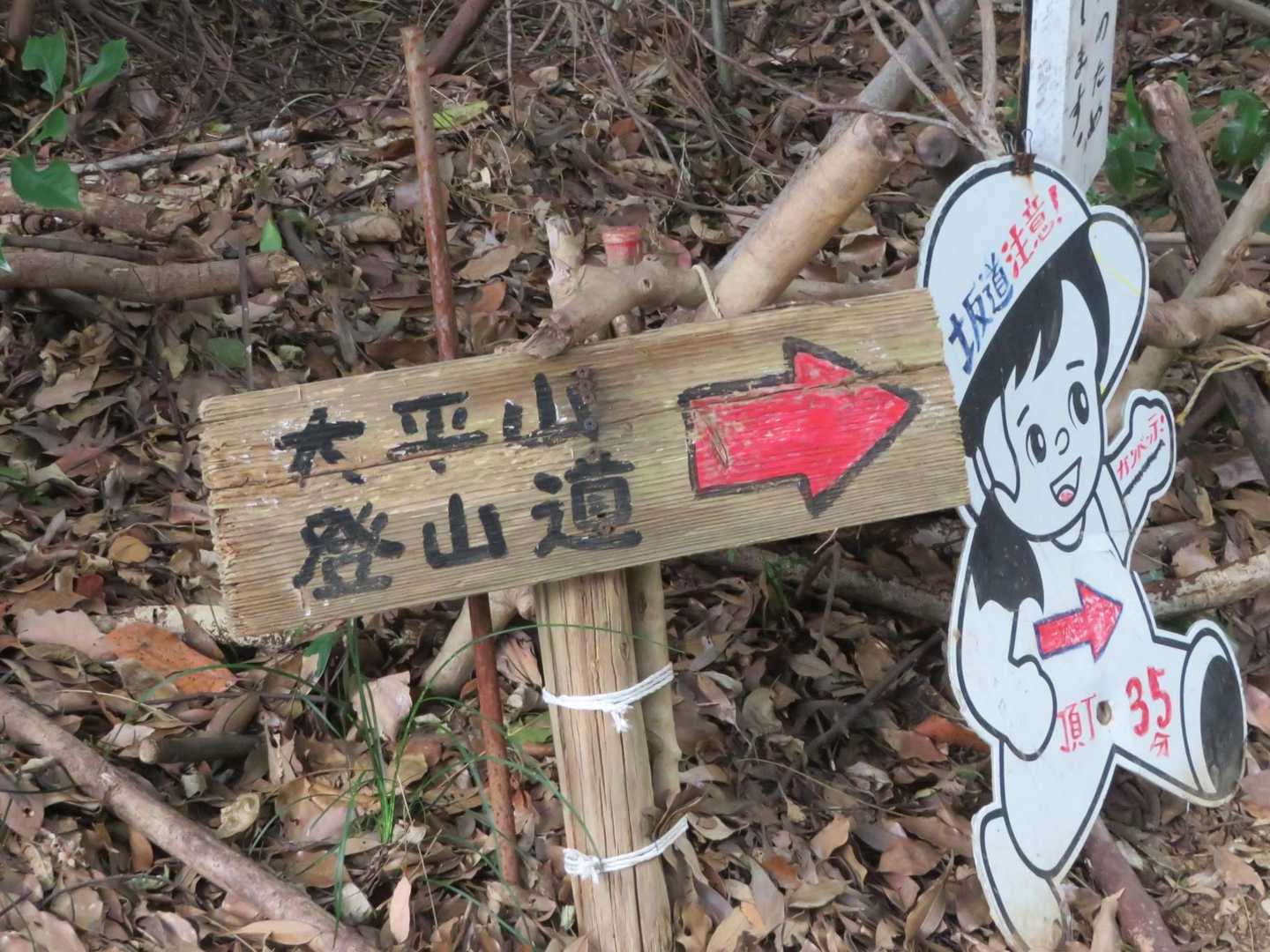 大平山往復｜花や紅葉が美しい山歩道。広い山頂からの大パノラマもの写真