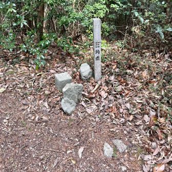 大谷山そろそろピーク認定ならないか