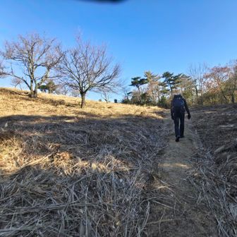 両脇に桜の木
上がっていくと