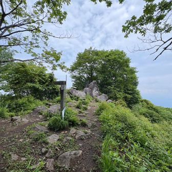 子持山　山頂