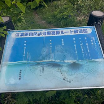 見えたら良かったね
