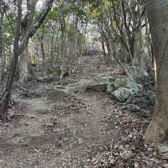 この上が山頂。