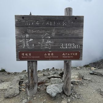 2年ぶり！元気してたー？