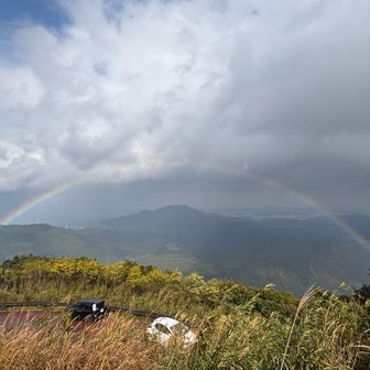 こんなちゃんとつながってるの初めて見た