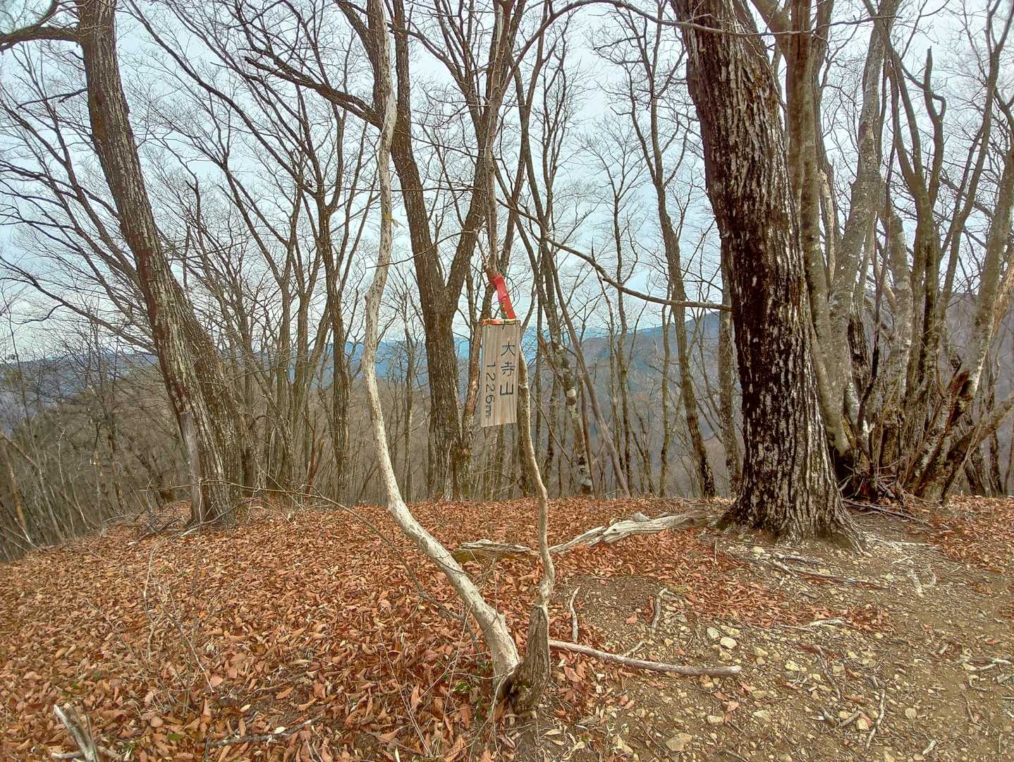 大寺山に到着
あれ？小寺山は見逃したかな？
どうやらここが300座目らしい
よく登ったもんだ…