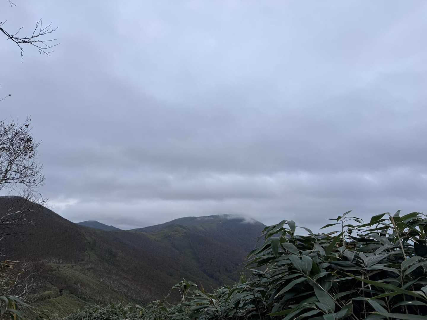 あの雲がかかっているところが佐幌岳山頂ね！