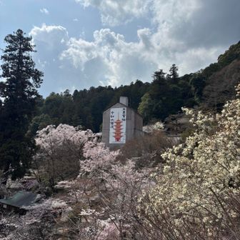五重塔…修復工事中💦