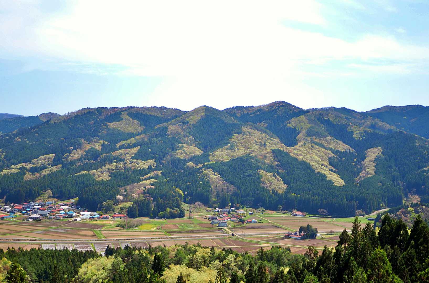 振り返れば・・
さっき登った天狗山👍
針葉樹、広葉樹の・・
「緑のグラデーション」が素適です💖
