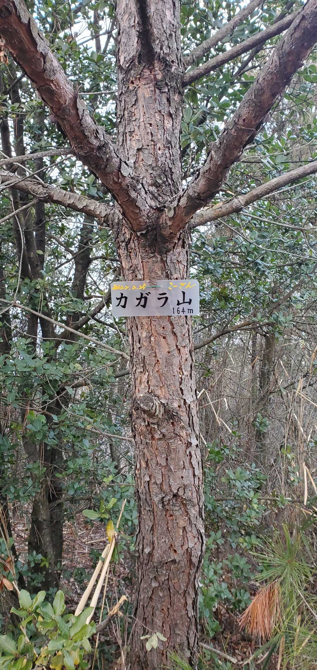 カガラ山到着
こーさんプレート