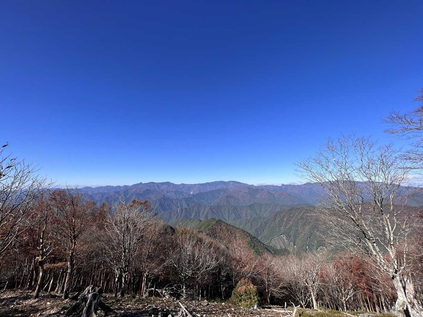 iPhoneの広角
こっちの方が色がいい😣