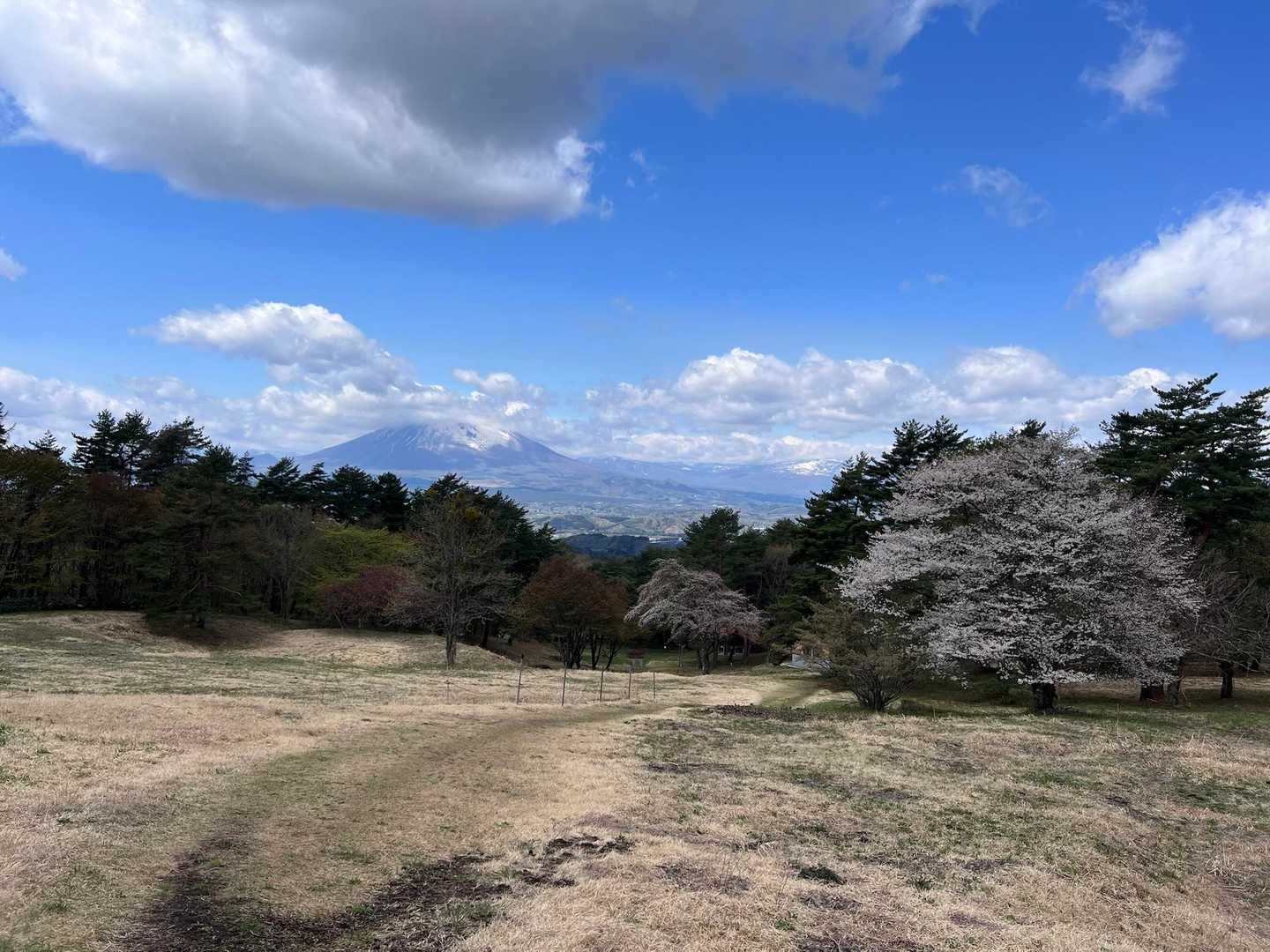 いつもの位置でパシャリ