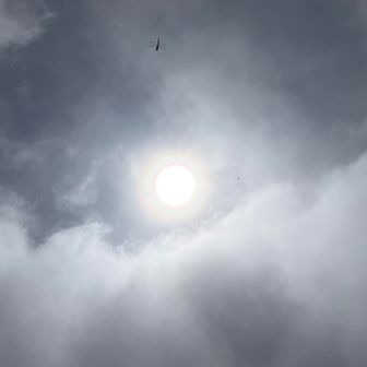 太陽が☀️
トンボも