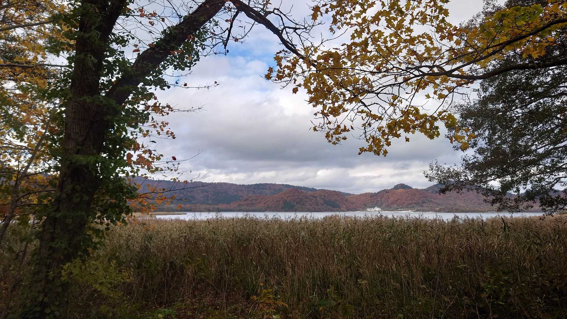 大尽山入口-大尽登山道入口-大尽山 往復コースの写真