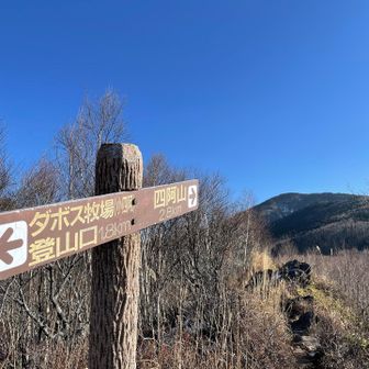 小四阿いつの間にか通りすぎてる😂