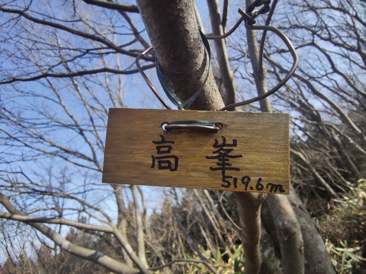 こっちも小さめ